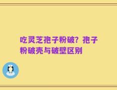 吃灵芝孢子粉破？孢子粉破壳与破壁区别