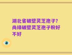 湖北省破壁灵芝孢子？尚绿破壁灵芝孢子粉好不好
