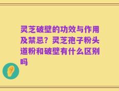 灵芝破壁的功效与作用及禁忌？灵芝孢子粉头道粉和破壁有什么区别吗