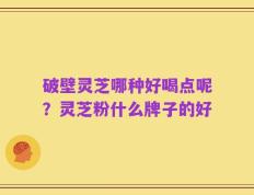破壁灵芝哪种好喝点呢？灵芝粉什么牌子的好