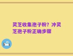 灵芝收集孢子粉？冲灵芝孢子粉正确步骤