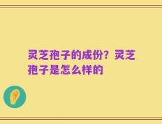 灵芝孢子的成份？灵芝孢子是怎么样的