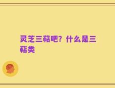 灵芝三萜吧？什么是三萜类