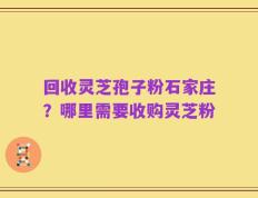 回收灵芝孢子粉石家庄？哪里需要收购灵芝粉