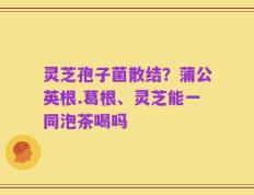 灵芝孢子菌散结？蒲公英根.葛根、灵芝能一同泡茶喝吗