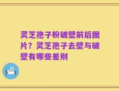 灵芝孢子粉破壁前后图片？灵芝孢子去壁与破壁有哪些差别