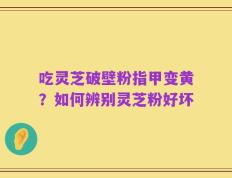 吃灵芝破壁粉指甲变黄？如何辨别灵芝粉好坏
