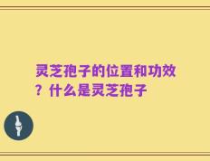 灵芝孢子的位置和功效？什么是灵芝孢子