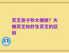 灵芝孢子粉大棚被？大棚灵芝和野生灵芝的区别