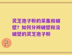 灵芝孢子粉的采集和破壁？如何分辨破壁和没破壁的灵芝孢子粉
