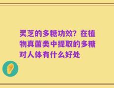 灵芝的多糖功效？在植物真菌类中提取的多糖对人体有什么好处