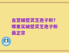 自营破壁灵芝孢子粉？哪里买破壁灵芝孢子粉最正宗