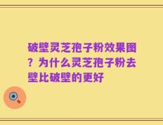破壁灵芝孢子粉效果图？为什么灵芝孢子粉去壁比破壁的更好
