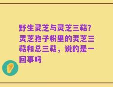 野生灵芝与灵芝三萜？灵芝孢子粉里的灵芝三萜和总三萜，说的是一回事吗