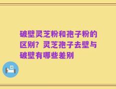 破壁灵芝粉和孢子粉的区别？灵芝孢子去壁与破壁有哪些差别