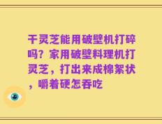 干灵芝能用破壁机打碎吗？家用破壁料理机打灵芝，打出来成棉絮状，嚼着硬怎吞吃