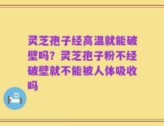 灵芝孢子经高温就能破壁吗？灵芝孢子粉不经破壁就不能被人体吸收吗