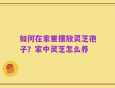 如何在家里摆放灵芝孢子？家中灵芝怎么养