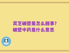 灵芝破壁是怎么回事？破壁中药是什么意思
