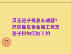 灵芝孢子壳怎么破壁？药房里是否会加工灵芝孢子粉如何加工的