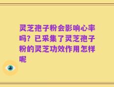 灵芝孢子粉会影响心率吗？已采集了灵芝孢子粉的灵芝功效作用怎样呢