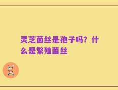 灵芝菌丝是孢子吗？什么是繁殖菌丝
