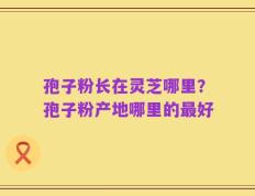 孢子粉长在灵芝哪里？孢子粉产地哪里的最好
