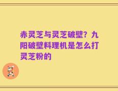 赤灵芝与灵芝破壁？九阳破壁料理机是怎么打灵芝粉的