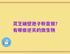 灵芝破壁孢子粉显微？有哪些逆天的微生物