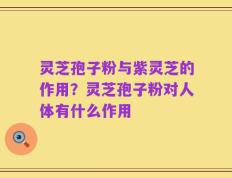灵芝孢子粉与紫灵芝的作用？灵芝孢子粉对人体有什么作用