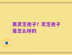 黑灵芝孢子？灵芝孢子是怎么样的