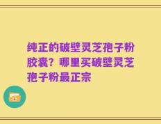 纯正的破壁灵芝孢子粉胶囊？哪里买破壁灵芝孢子粉最正宗