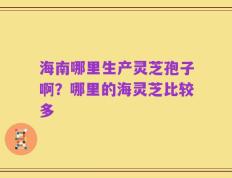 海南哪里生产灵芝孢子啊？哪里的海灵芝比较多