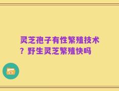 灵芝孢子有性繁殖技术？野生灵芝繁殖快吗