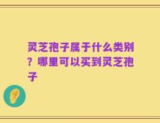 灵芝孢子属于什么类别？哪里可以买到灵芝孢子