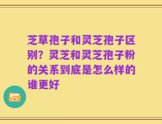 芝草孢子和灵芝孢子区别？灵芝和灵芝孢子粉的关系到底是怎么样的谁更好