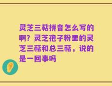 灵芝三萜拼音怎么写的啊？灵芝孢子粉里的灵芝三萜和总三萜，说的是一回事吗