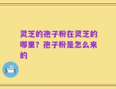 灵芝的孢子粉在灵芝的哪里？孢子粉是怎么来的