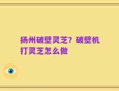 扬州破壁灵芝？破壁机打灵芝怎么做