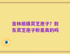 吉林拍摄灵芝孢子？敖东灵芝孢子粉是真的吗