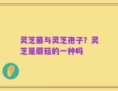 灵芝菌与灵芝孢子？灵芝是蘑菇的一种吗
