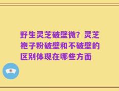 野生灵芝破壁微？灵芝袍子粉破壁和不破壁的区别体现在哪些方面