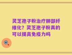 灵芝孢子粉治疗肺部纤维化？灵芝孢子粉真的可以提高免疫力吗