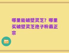 哪里能破壁灵芝？哪里买破壁灵芝孢子粉最正宗