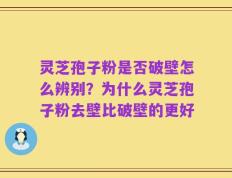 灵芝孢子粉是否破壁怎么辨别？为什么灵芝孢子粉去壁比破壁的更好
