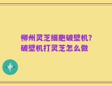 柳州灵芝细胞破壁机？破壁机打灵芝怎么做