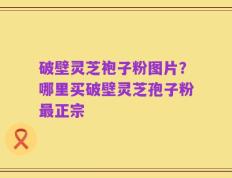 破壁灵芝袍子粉图片？哪里买破壁灵芝孢子粉最正宗