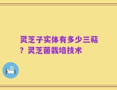 灵芝子实体有多少三萜？灵芝菌栽培技术