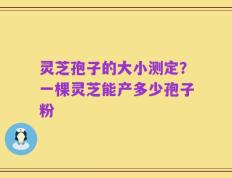 灵芝孢子的大小测定？一棵灵芝能产多少孢子粉