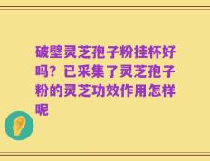 破壁灵芝孢子粉挂杯好吗？已采集了灵芝孢子粉的灵芝功效作用怎样呢